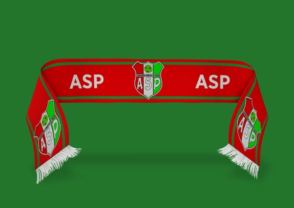 Écharpe Supporter