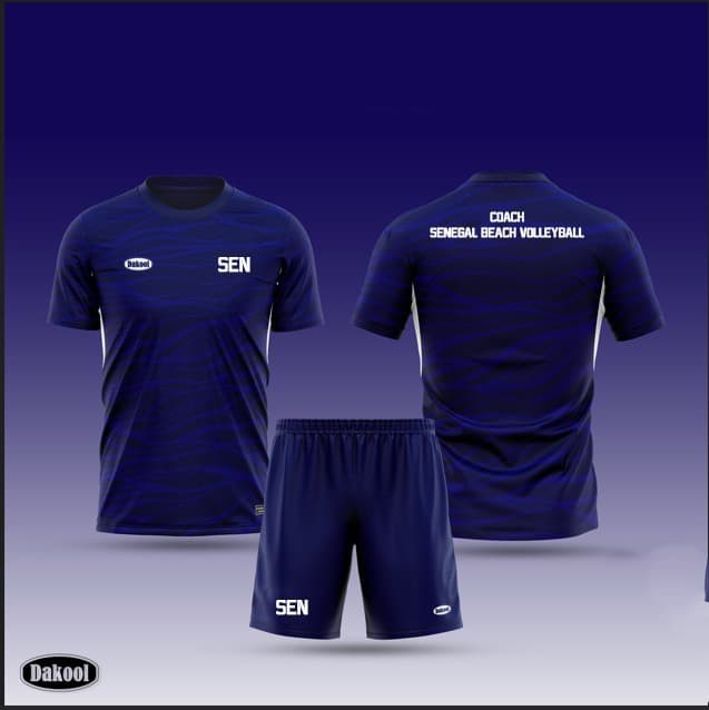 Ensemble Coach